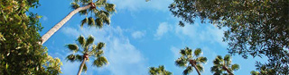 Gallery of Nature images.