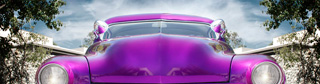 Gallery of Car images.